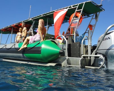 Afternoon Guided Snorkel Tour From Kaanapali Beach