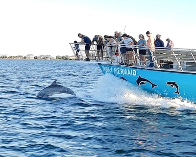 Cruise Pensacola Beach on a 2-Hour Private Dolphin Tour