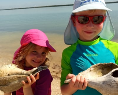 Ten Thousand Islands Shelling & Fishing Charter