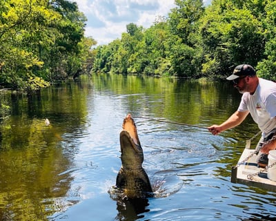 Oak Alley & Swamp Tour in One Day from NOLA