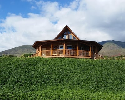 Herbal Tea Tasting Tour