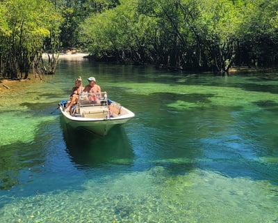 Explore Choctahatchee River Springs Guided Tour