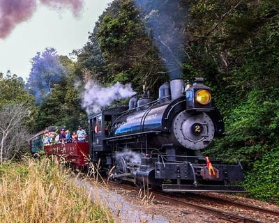 Historic Steam Train Ride in Fort Bragg