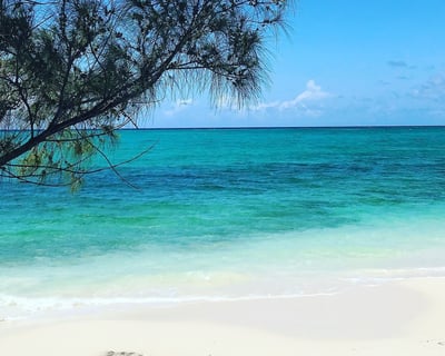 Bimini 3-7-Day Yacht Charter