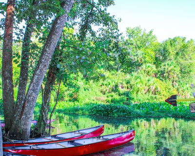 Self-Guided Canoe Rental at Wekiwa Springs