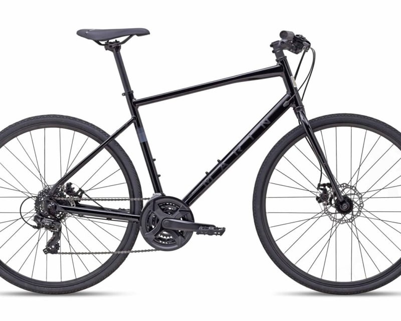 21-Speed Hybrid Bike Rental in Augusta, MO