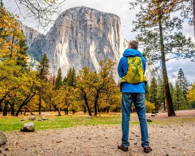 Alcatraz and Aquarium with Yosemite Day Tour