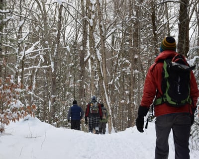 Moonlit Maple Snowshoe Tour