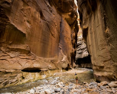 Explore Zion National Park on a Day Tour
