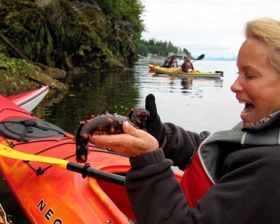 Ketchikan Rainforest Shoreline Kayak Eco Tour