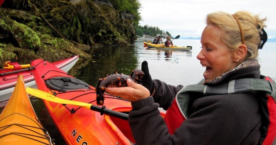 Ketchikan Rainforest Shoreline Kayak Eco Tour