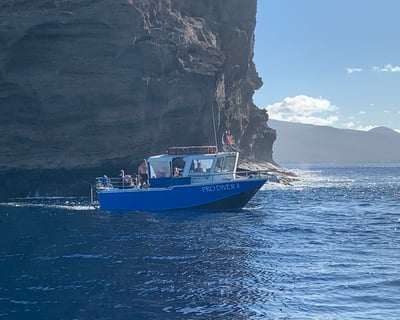 3-Tank Molokini Crater Drift & Anchor Dive