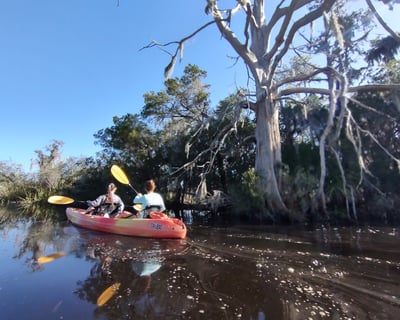 Guided ACE Basin Kayak Tour From Yemassee