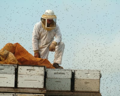 Navasota Honey Farm History Tour