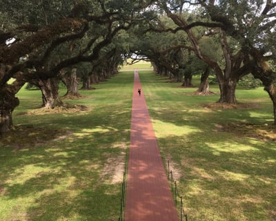 Tour Oak Alley Plantation & Louisiana Swamp Cruise