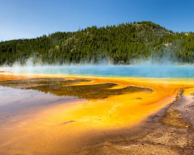 Yellowstone Full-Day Private Scenic Driving Tour