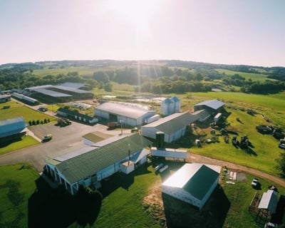 See Robot Milkers & Milk to Cheese Journey