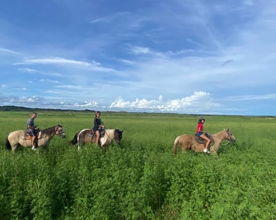 Guided Horseback Trail Ride Near Lake Jesup