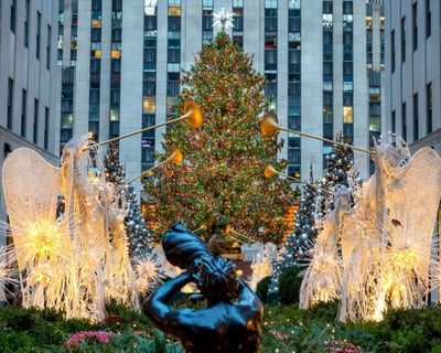 Holiday Lights Horse Carriage Tour in NYC