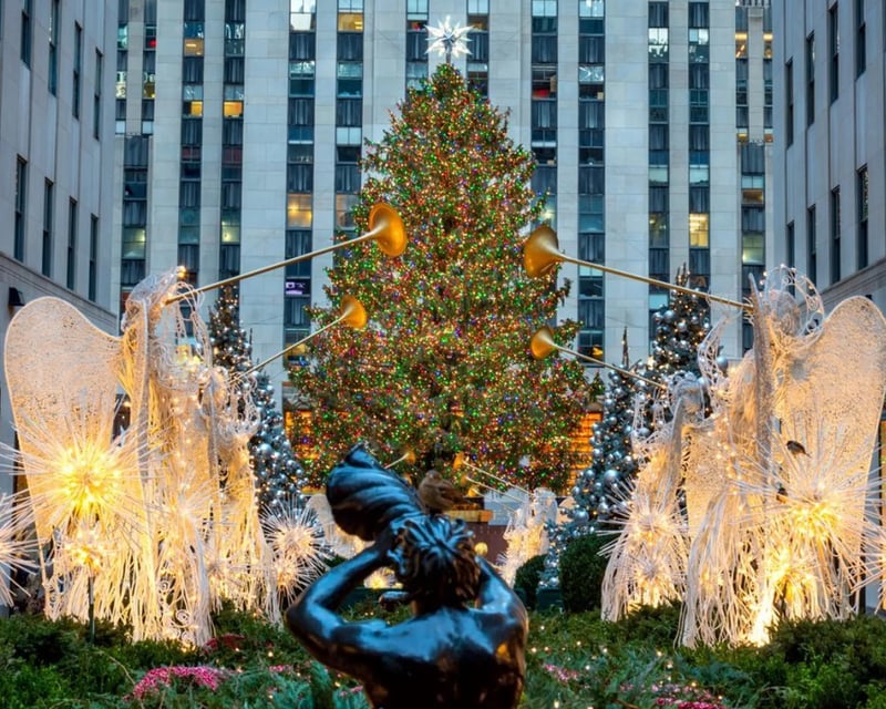 Holiday Lights Horse Carriage Tour in NYC