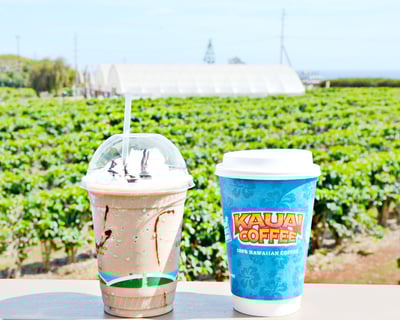 Farm to Cup Coffee Tour on Kauai's Largest Estate