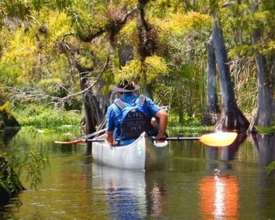 Blackwater Creek Wilderness Paddle Tour