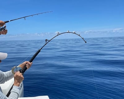 Marathon Deep Sea Fishing Charter
