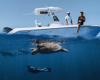 Turtle Canyon Small-Group Snorkel Tour