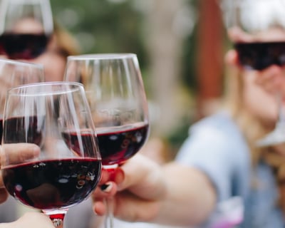 Highlands NC Wine Tour with Scenic Mountain Drive