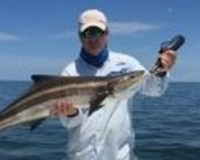 Crystal River Snapper, Cobia & Hogfish Fishing Charter