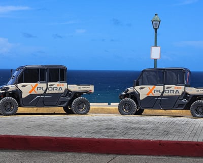 2-Hour Old San Juan UTV Tour