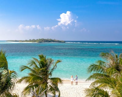 Key West 6-Hour Sandbar Charter