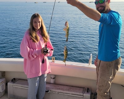 Perch Fishing Charter in St. Clair Shores