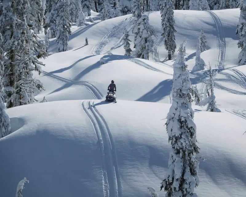 Intermediate Backcountry Snowmobile Tour in McCall
