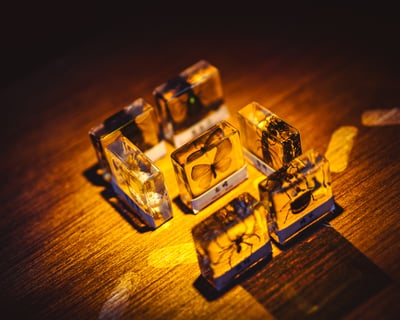 Solve a Biologist Mystery Puzzle Game in Newark