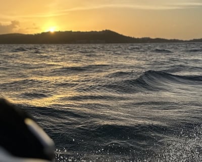 Fajardo Sunset Cruise to Palomino Island