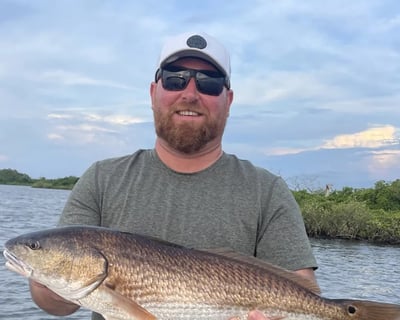 Inshore Fishing Charter in Homosassa