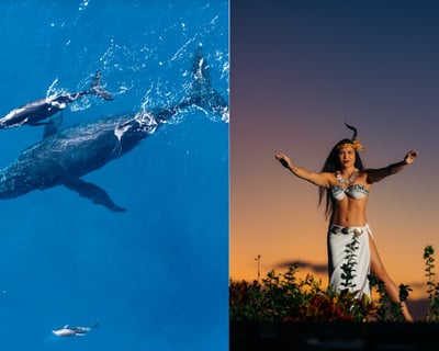 Myths of Maui Luau and VIP Whale Watch Combo