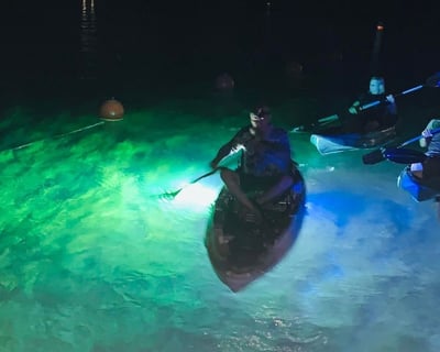 Luminescent River Tour on Rainbow River