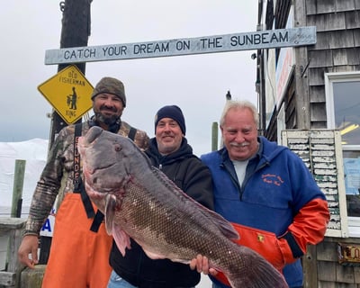 Blackfish Fishing Trip in Waterford