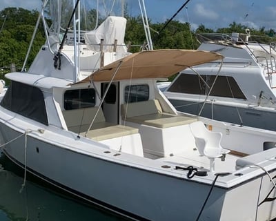 Fishing Charter in Cancún Aboard a 31' Bertram