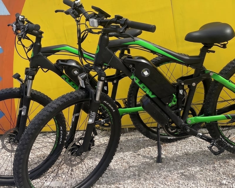 Class 3 E-Bike Rental in Fort Myers Beach
