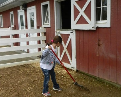 Morning Farm Animal Care Experience in Wheaton