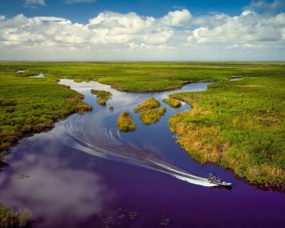 30-Minute Guided Airboat Tour From Kissimmee