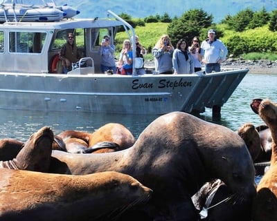 Private Kodiak Whale Charter with Eco Guide