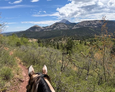 Advanced Guided Horseback Ride in La Veta