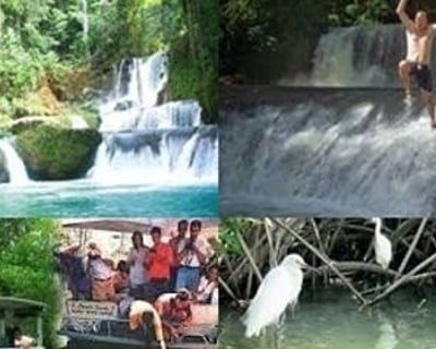 YS Falls & Black River Safari Tour