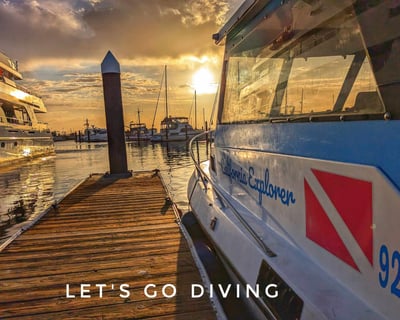 Guided 2-Tank Dive Tour in Monterey Bay