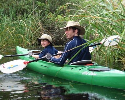 Private Kayak Eco Tour in Big Cypress National Preserve