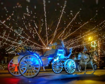St. Augustine Holiday Lights Carriage Ride